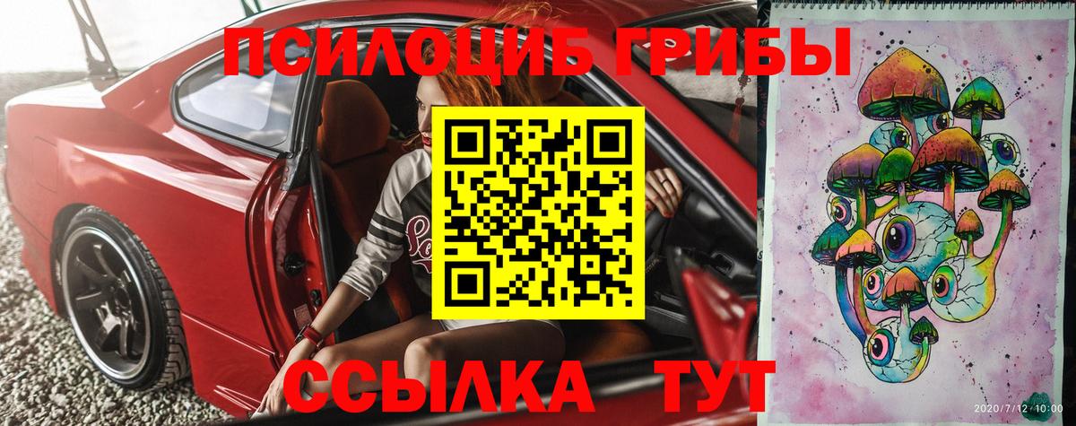 даркнет сайт  Вход с VPN  Кувандык  Псилоцибиновые грибы Psilocybe 