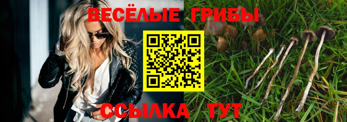 Галлюциногенные грибы Magic Shrooms Кувандык