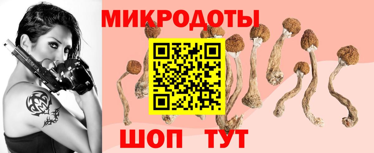 Псилоцибиновые грибы Magic Shrooms Кувандык