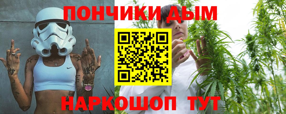 Конопля AK-47  Канабис OG Kush  Кувандык  Марихуана сатива  Бошки Шишки OG Kush 